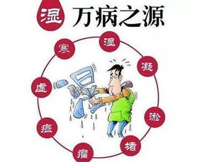 是什么原因引起的:亚健康的原因是什么?七大因素让你的身体亮红灯! 是什么原因引起的:亚健康的原因是什么?七大因素让你的身体亮红灯!