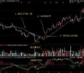 梅花易数断卦方法图解:梅花易数断卦全攻略,图解方法与实战技巧解析 梅花易数断卦方法图解:梅花易数断卦全攻略,图解方法与实战技巧解析