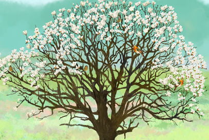 槲寄生对男性性功能好吗:槲寄生对男性性功能好吗?科学解读与注意事项