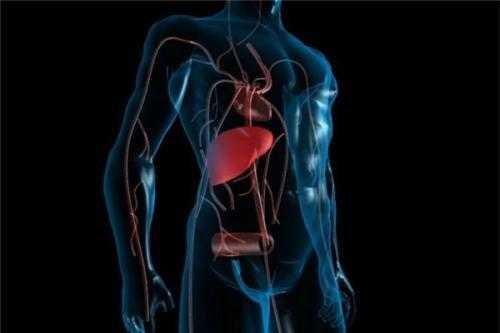 脑炎的早期症状鉴别：脑炎早期症状鉴别，警惕这些危险信号