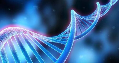 水瓶座和谁绝配第一名:水瓶座和谁绝配?第一名竟然是TA!科学解析12星座匹配度TOP1 水瓶座和谁绝配第一名:水瓶座和谁绝配?第一名竟然是TA!科学解析12星座匹配度TOP1