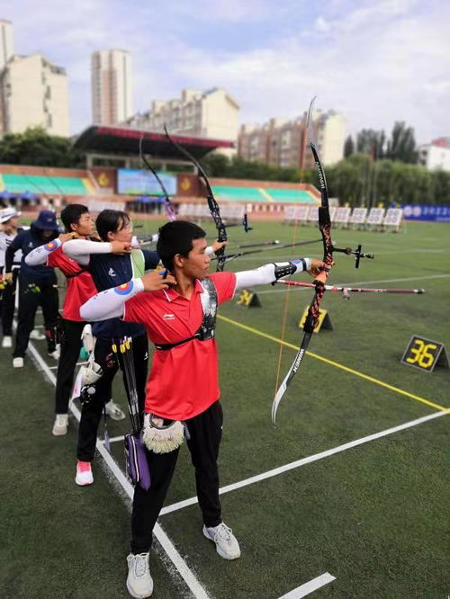 石家庄电子信息学校(石家庄电子信息学校学费) 石家庄电子信息学校(石家庄电子信息学校学费)