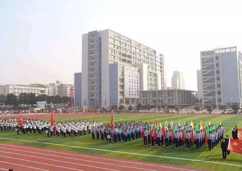 长江职业学院什么档次(长江职业学院全名) 长江职业学院什么档次(长江职业学院全名)