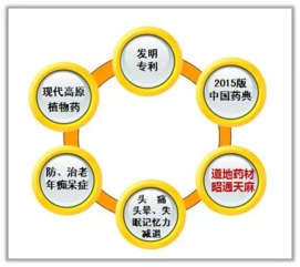 positioning:精准定位,品牌成功的基石—深入解析Positioning的力量 positioning:精准定位,品牌成功的基石—深入解析Positioning的力量