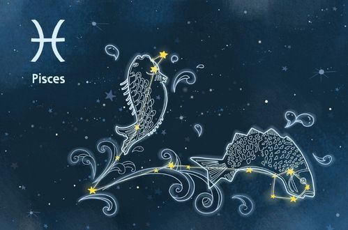 星座运势 星座屋:2023年星座运势大揭秘,星座屋占星师教你解锁本命年能量 星座运势 星座屋:2023年星座运势大揭秘,星座屋占星师教你解锁本命年能量