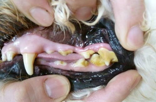 琼中哪里求姻缘很灵啊:琼中哪里求姻缘最灵?揭开三个鲜为人知的灵异传说!