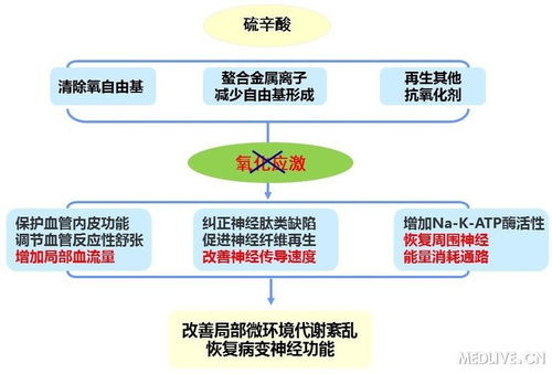 非诺贝特胶囊说明书:非诺贝特胶囊说明书,权威指南,安全使用