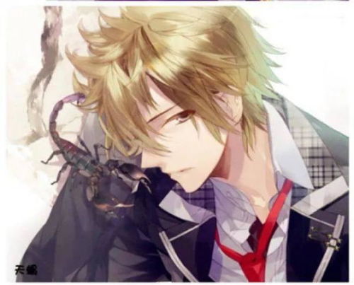 摩羯女是天蝎男唯一的软肋:摩羯女是天蝎男的致命吸引力,当理性与直觉碰撞出隐秘的弱点