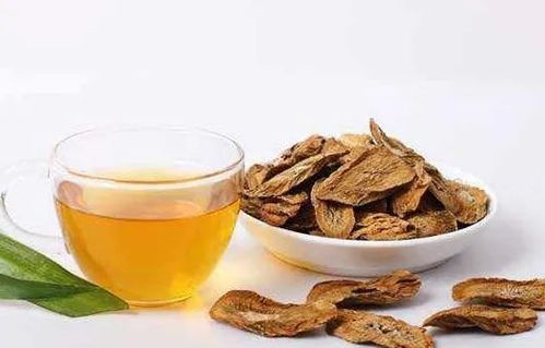 牛蒡茶副作用太坑爹了:牛蒡茶副作用太坑爹了!喝前必看! 牛蒡茶副作用太坑爹了:牛蒡茶副作用太坑爹了!喝前必看!