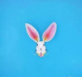 2023兔宝宝最火乳名:2023兔宝宝最火乳名Top20,萌趣与寓意并存,这些名字正在火出圈!