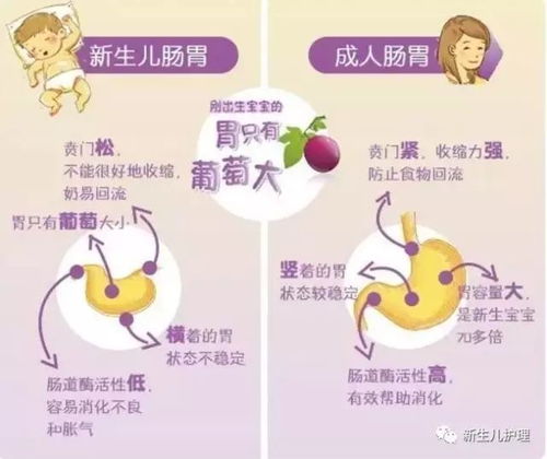 儿童调理脾胃最有效的方法:儿童调理脾胃最有效的方法,抓住黄金期,健康一整年! 儿童调理脾胃最有效的方法:儿童调理脾胃最有效的方法,抓住黄金期,健康一整年!