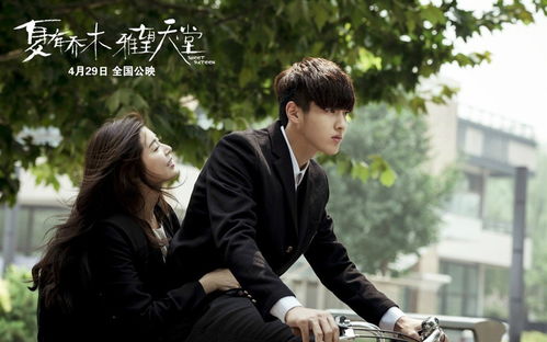 落水姻缘电影免费版下载：落水姻缘免费版下载指南，如何合法观看这部经典爱情电影？