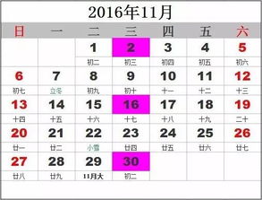 5月日历:5月日历,时间宝藏与生活指南,解锁你的五月关键词 5月日历:5月日历,时间宝藏与生活指南,解锁你的五月关键词