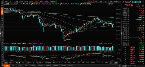 宝馨科技拟设立合资公司 加码机器人领域布局