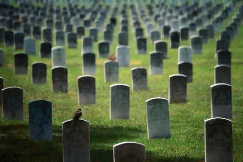 梦见好多坟墓有人祭拜:梦见好多坟墓有人祭拜,一场关于生死与记忆的心灵隐喻