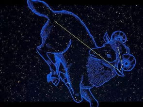 白羊座配对:白羊座配对指南,炽热灵魂的碰撞与互补 白羊座配对:白羊座配对指南,炽热灵魂的碰撞与互补