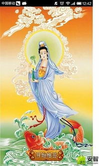 南海观音灵签33解姻缘:南海观音灵签33解,姻缘指引,幸福可期 南海观音灵签33解姻缘:南海观音灵签33解,姻缘指引,幸福可期