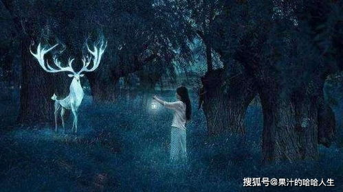 女人梦见鬼怪之类的东西:梦里遇见鬼怪,解密女性梦境中的神秘符号