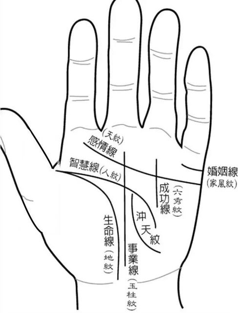 算命先生不给断掌的人算命：掌纹断流与命运断言，算命先生为何拒测断掌之人？