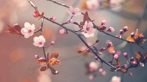 2022未来五年运势最好的星座:2022-2025运势天命星座解析,木星入庙+星盘大运,解锁你的黄金时代 2022未来五年运势最好的星座:2022-2025运势天命星座解析,木星入庙+星盘大运,解锁你的黄金时代