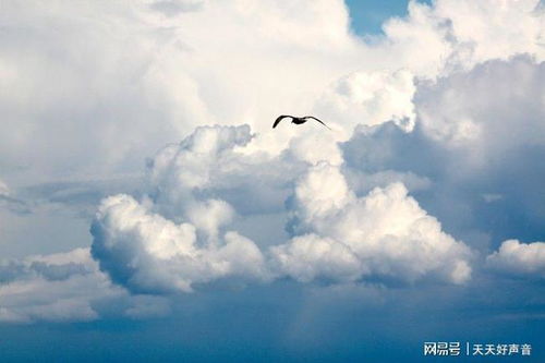 2022未来五年运势最好的星座:2022-2025运势天命星座解析,木星入庙+星盘大运,解锁你的黄金时代