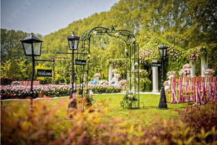 郑州姻缘树在什么地方:郑州的姻缘树到底在哪儿? 郑州姻缘树在什么地方:郑州的姻缘树到底在哪儿?