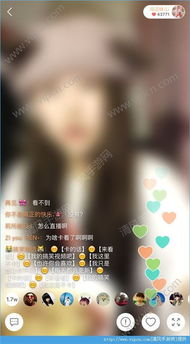 快手礼物姻缘河灯多少钱：快手礼物姻缘河灯多少钱？浪漫寓意与实用指南全解析！