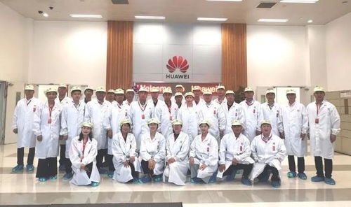 广东南方职业学院（广东南方职业学院校长叫什么）