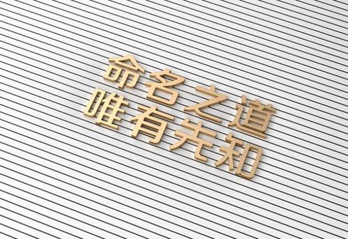 给公司起名字:给公司起名,从品牌定位到市场传播的黄金法则