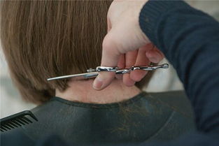 做梦梦到剪头发了有什么预兆：梦见剪头发了有什么预兆？这些解读或许能帮你找到答案