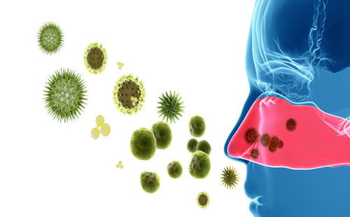 鼻炎怎么治疗:鼻炎怎么治疗?全面指南助你告别鼻炎困扰