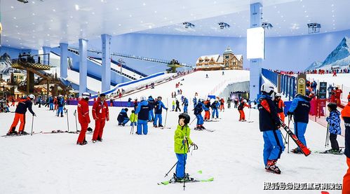 属羊人最倒霉的几年:属羊人最需要注意的五年,命理师解析2023-2027年避坑指南 属羊人最倒霉的几年:属羊人最需要注意的五年,命理师解析2023-2027年避坑指南