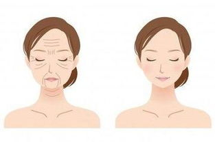 无晨勃是阴虚还是阳虚:晨勃消失是阴虚还是阳虚?中医教你辨别 无晨勃是阴虚还是阳虚:晨勃消失是阴虚还是阳虚?中医教你辨别