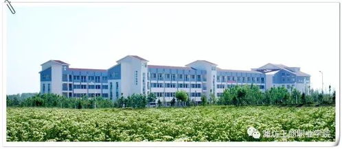 潍坊工商职业学院(潍坊工商职业学院官网) 潍坊工商职业学院(潍坊工商职业学院官网)