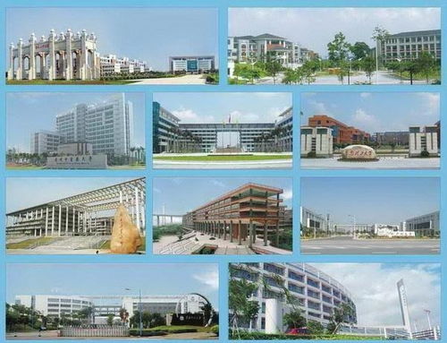 广州大学官网（广州大学官网首页）