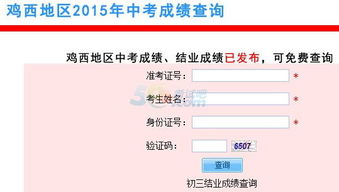 教育网查成绩查询（教育网查成绩查询入口官网）