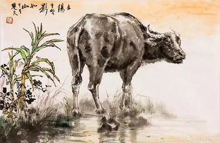 属牛的97年姻缘如何：1997年属牛人2025年姻缘如何？机遇与挑战并存，幸福掌握在你手中