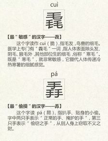 占卜测字一字：占卜测字一字，解码汉字中的千年玄机与人生密码