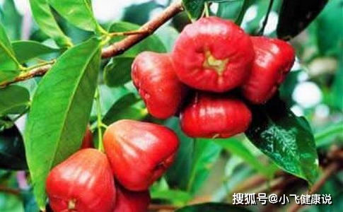 奥司他韦皮肤发黄要警惕：奥司他韦吃出黄疸？皮肤发黄可能是黄疸征兆！