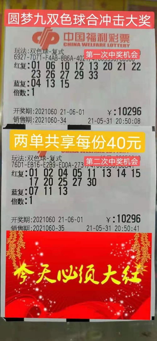 2020年属鼠是金命还是土命：2020年属鼠是金命还是土命？天干地支与五行命理的深度解析