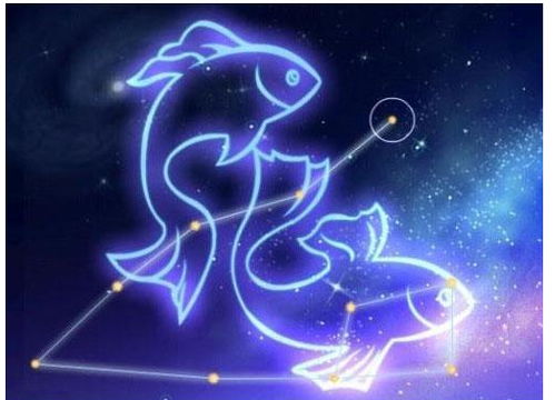 双鱼座性格特点男:双鱼座男性,温柔背后的灵魂独舞