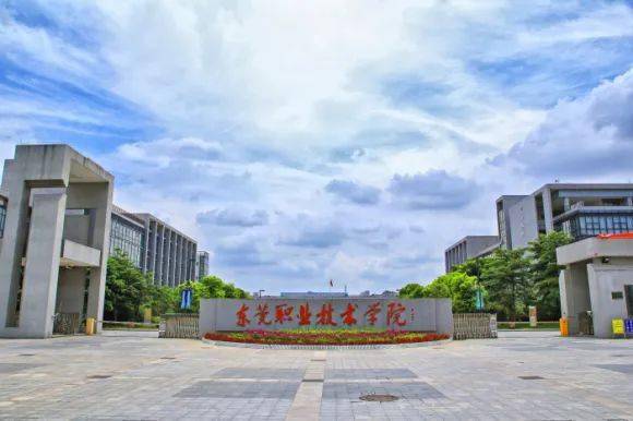 顺德职院升为本科院校(顺德职院升为本科院校有哪些)