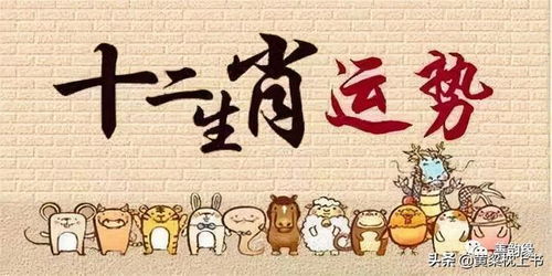 12生肖大全表配对:十二生肖大全表配对,科学解读十二种生肖的缘分密码与相处之道