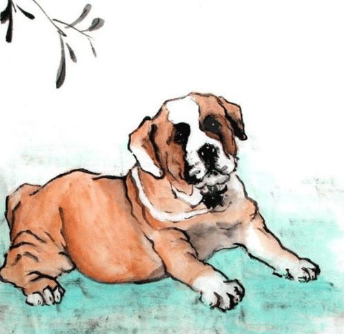 82年狗42岁开始转运了吗：82年属狗人42岁转运指南，中年觉醒与人生新篇