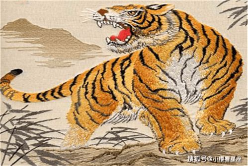 生肖虎姻缘运气怎么样：虎年姻缘运势解析，属虎人的情感密码，一探究竟！