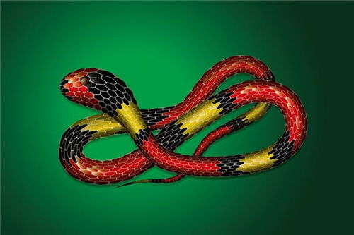 晚上梦到蛇预示着什么:梦到蛇,潜意识中的警示与启示