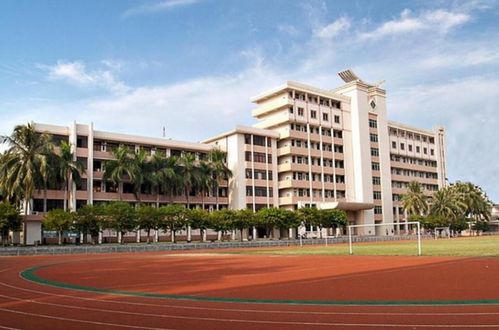 塔罗牌里的两个人同伴牌:塔罗牌中的两人同伴牌,和谐共鸣与能量流动