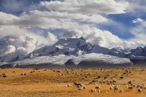 格拉丹东雪山：雪域圣殿，格拉丹东的永恒之光