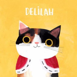 塔罗牌走丢的猫想对你说:神秘又可爱的塔罗牌走丢的猫想对你说