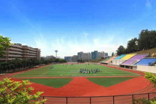 广东岭南职业技术学院（广东岭南职业技术学院官网）